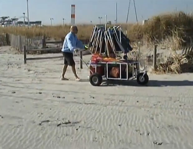 Phoenix Beach Buggy, Beach Cart